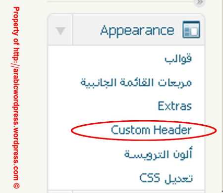CustomHeader